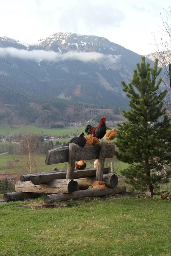Ferienhaus Ennsling Dış mekan fotoğraf